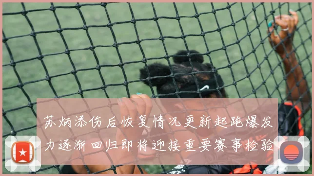 苏炳添伤后恢复情况更新起跑爆发力逐渐回归即将迎接重要赛事检验